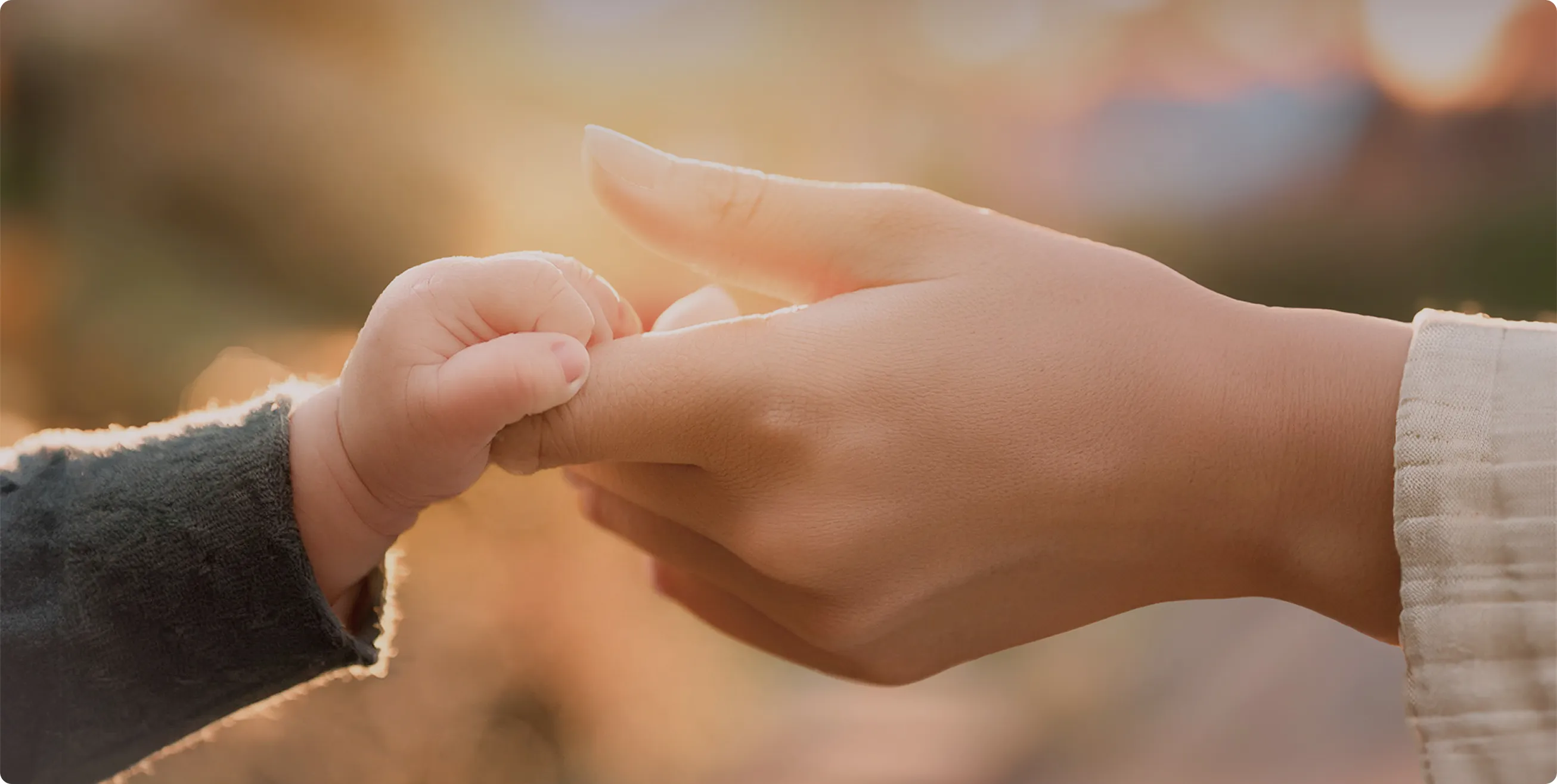 沖縄県平和関連施設ネットワーク構築事業　特設ページ